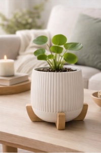  Japandi Planter | Hidden Drip Tray + Stand