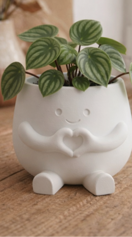 Bloempotje Heart Buddy &ndash; Decoratief plantenpotje met figuurtje