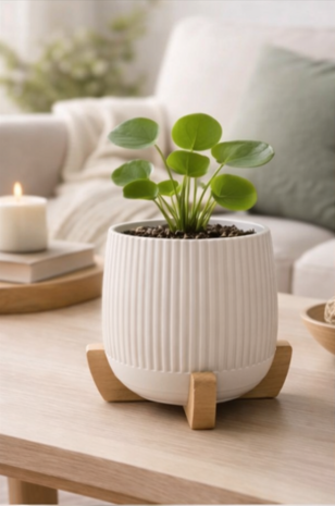  Japandi Planter | Hidden Drip Tray + Stand